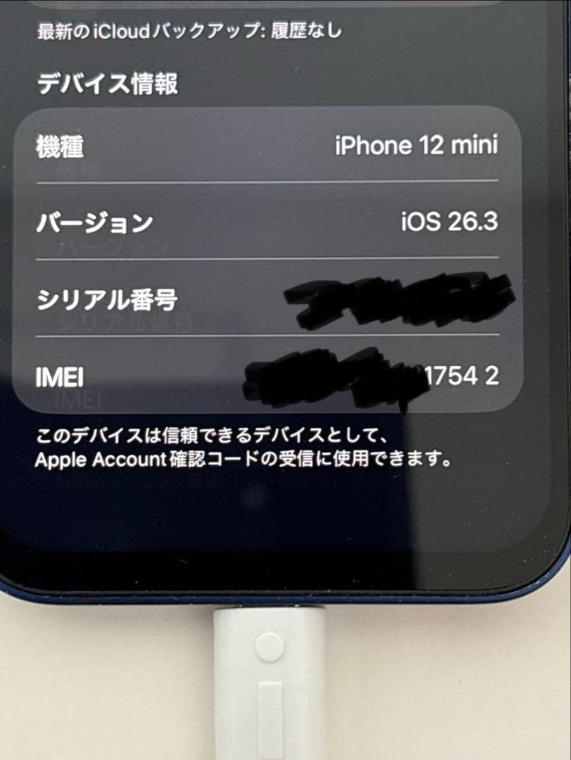 電池100% iPhone12 mini 256GB ブルー SIMフリー 箱