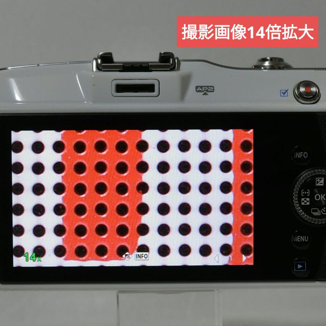 【ストラップ選択可能】オリンパス　ペンミニ　E-PM1　総ショット数開示