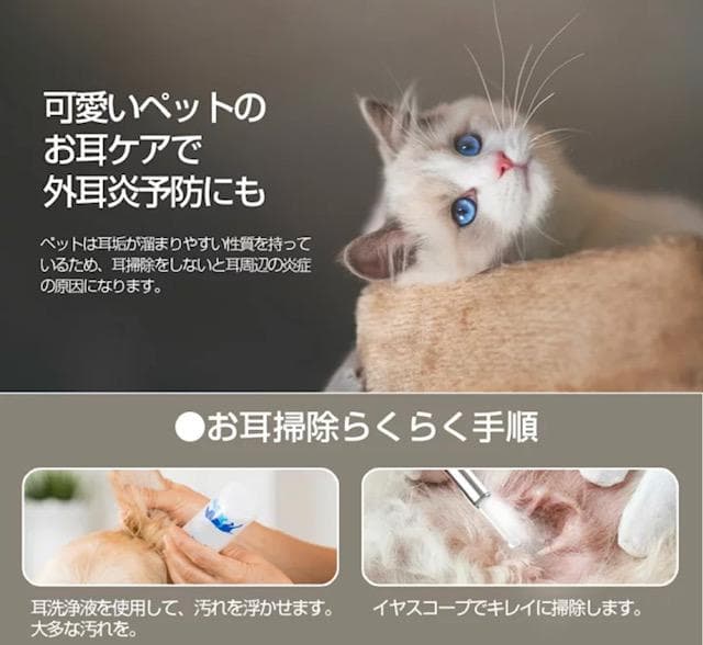 スコープ♡カメラ ライト 耳かき♡スクリュー やさしい シリコン 充電式 人気✨