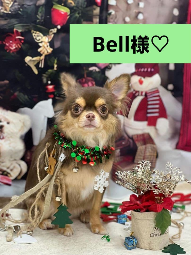 Bell様♡ありがとうございます♡