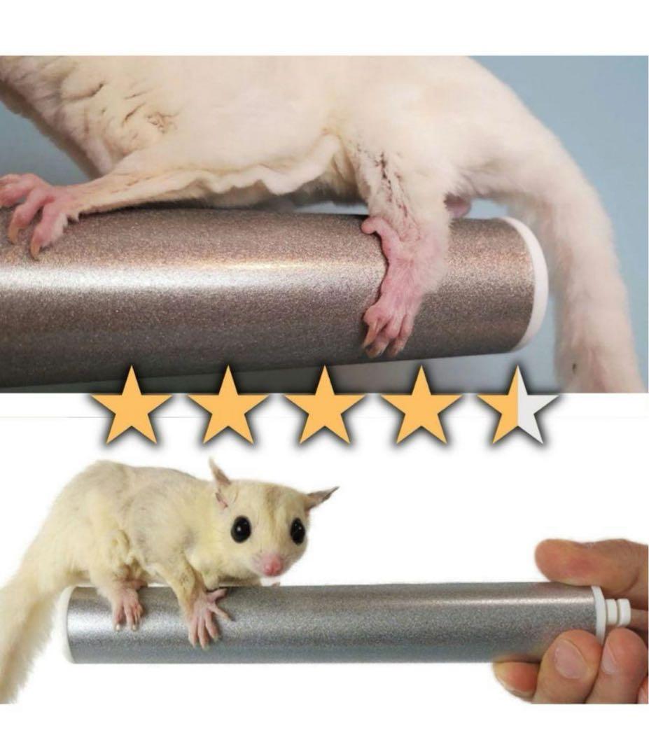 のびも15 爪将軍 4本セット モモンガ 小鳥 オウム 小動物 爪とぎ