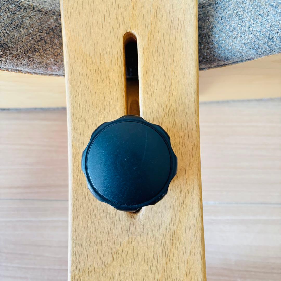 Rybo リボ社 Balance Easy バランスチェア ブラウンカラー