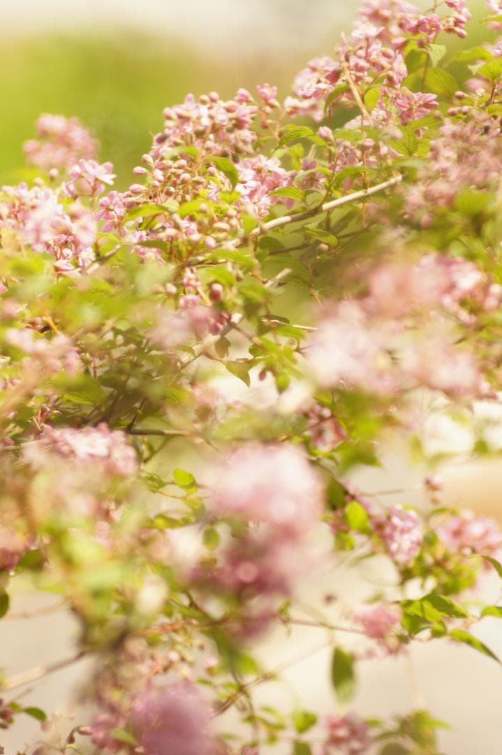 ★レア★ FOCA TELEOPLAR 135mm F4.5 フォカ NEX改造