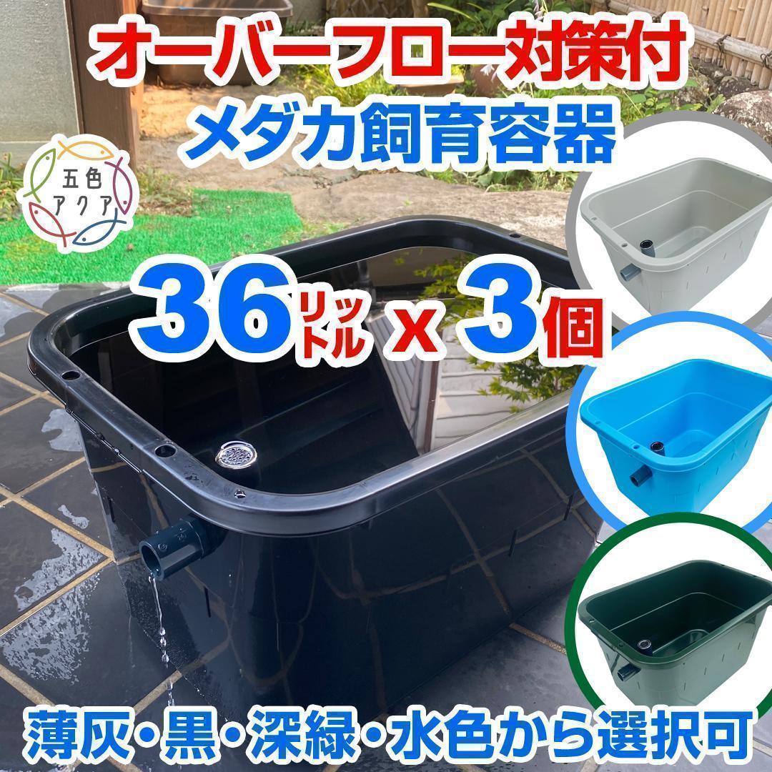 メダカ飼育ケース 36㍑x3個（3色あり）オーバーフロー めだか鉢 金魚飼育容器