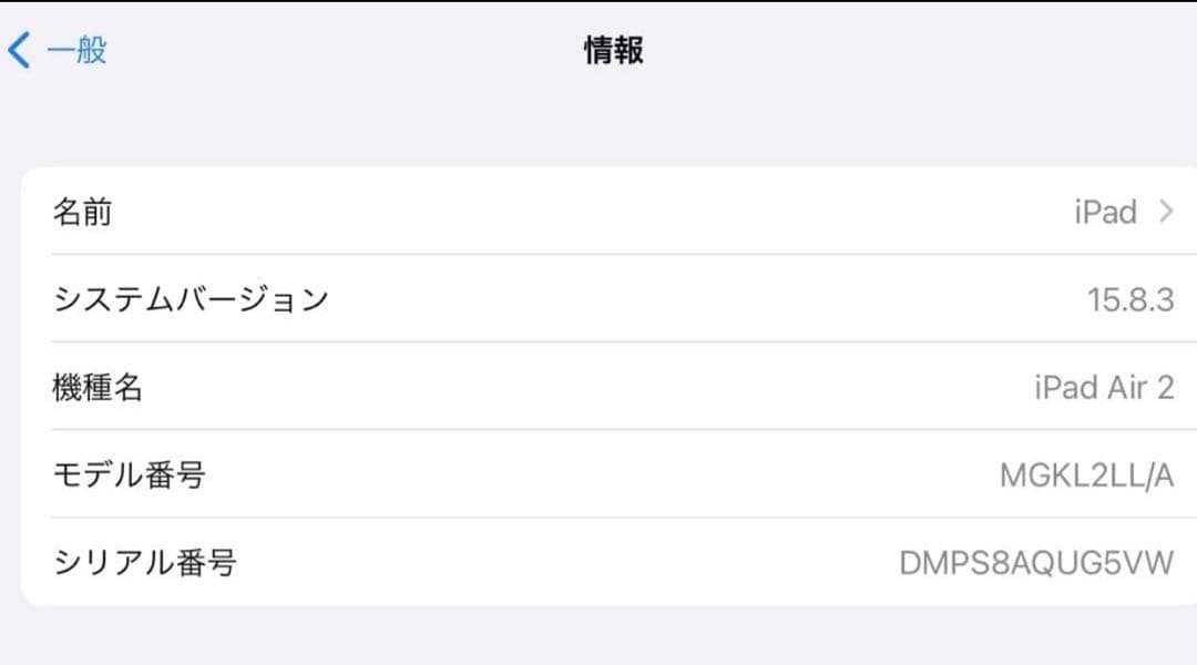 iPad Air 9.7インチ 第2世代 Wi-Fi 64 GB スペ