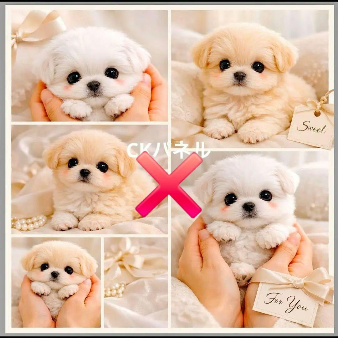 激レア柴犬、チワワ、ポメラニアン、パグ、マルチーズ、シーズパネル生地ハンドメイド
