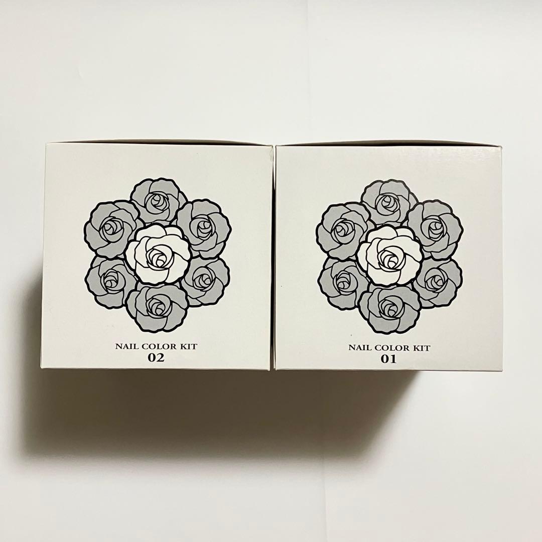 【未使用】ANNA SUI ネイルカラーキット 2種類セット