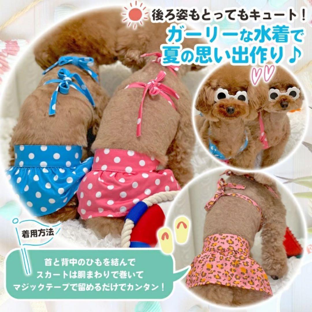 ペット　ビキニ