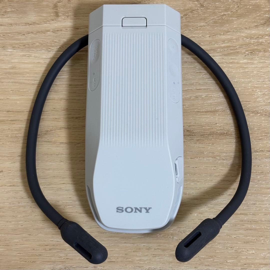 ウェアラブルサーモデバイス REON POCKET PRO RNPK-P1-H