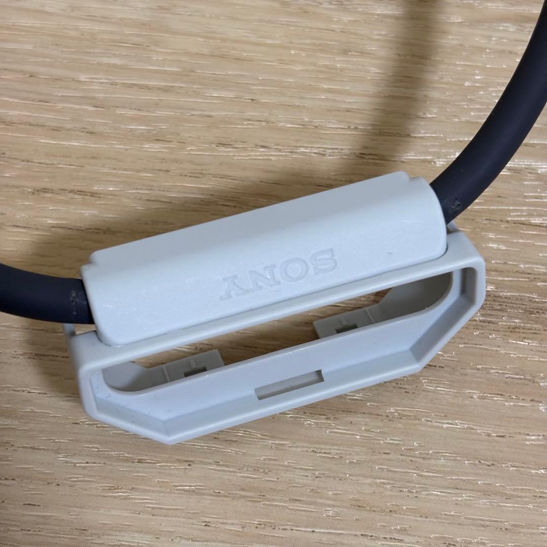 ウェアラブルサーモデバイス REON POCKET PRO RNPK-P1-H