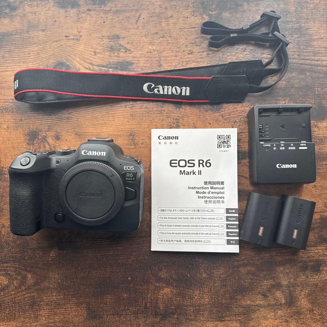 美品 キヤノン Canon R6 Mark2 本体