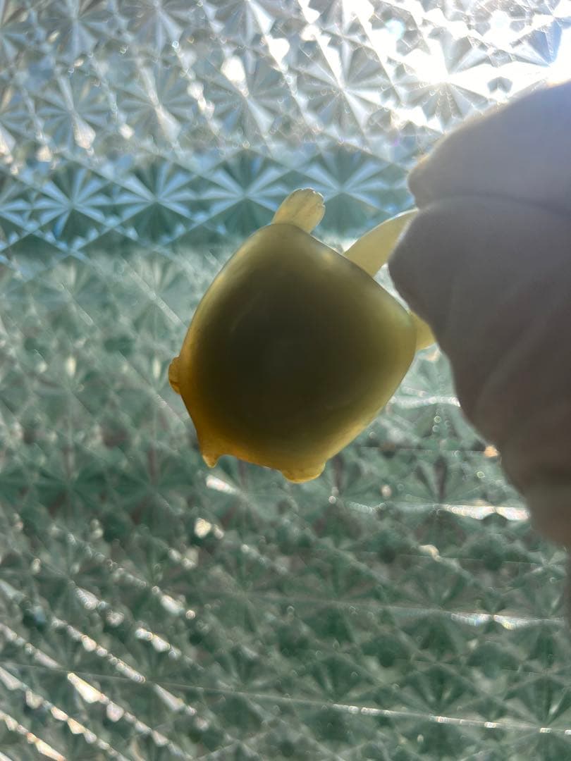 天然石製 玉 彫刻 亀の置物
