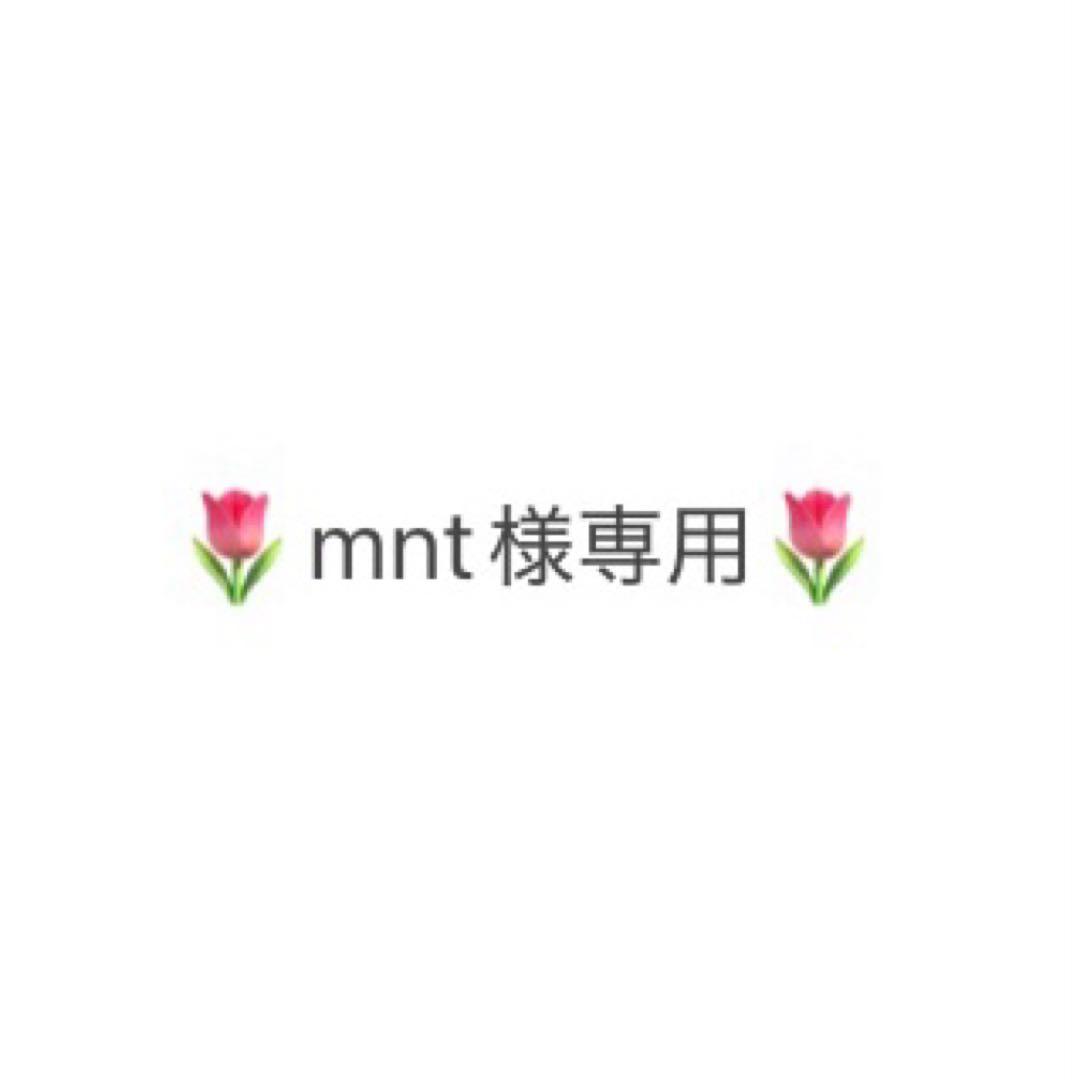 mntページ