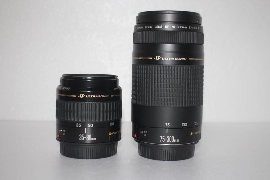 美品　一眼レフカメラ　Canon EOS 90D標準&望遠ダブルレンズセット