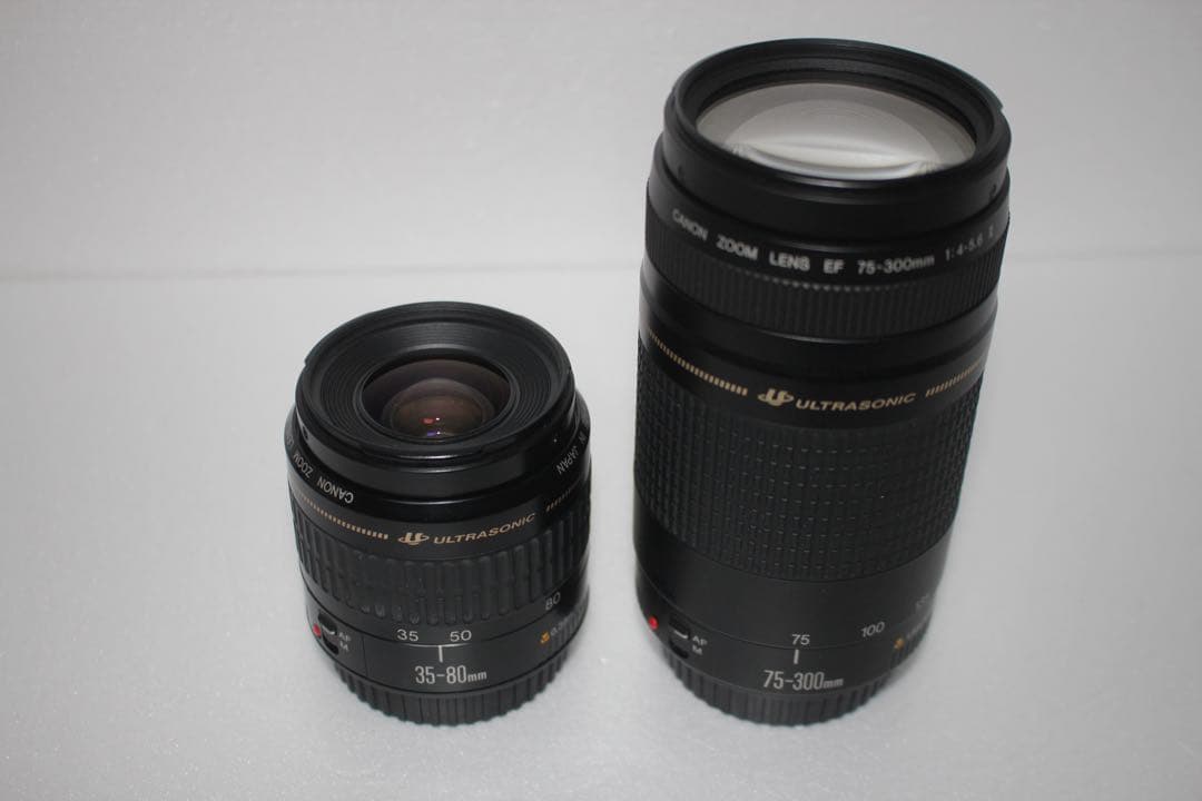 美品　一眼レフカメラ　Canon EOS 90D標準&望遠ダブルレンズセット