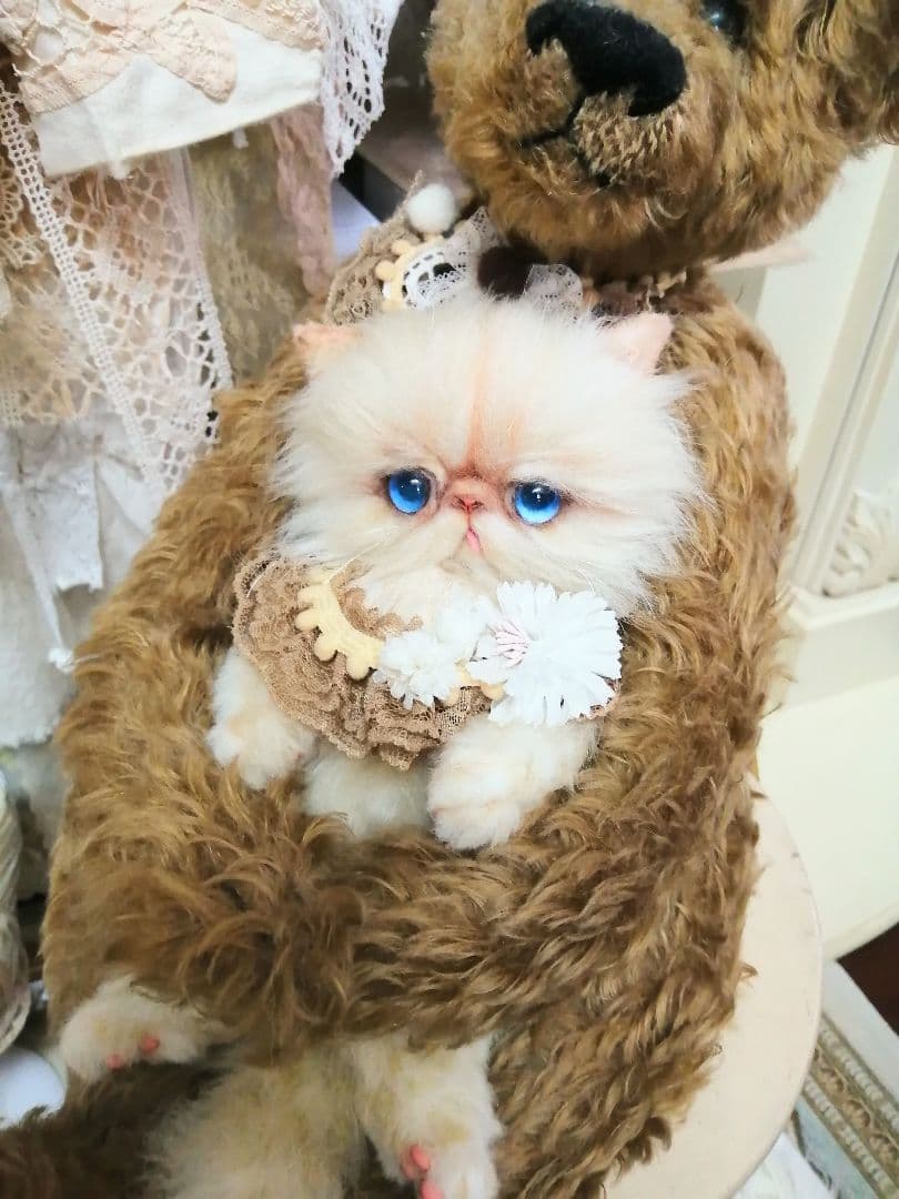 抱っこちゃん❤️猫*エキゾチック❤️ハンドメイド*ぬいぐるみ❤️抱っこにゃん❤️