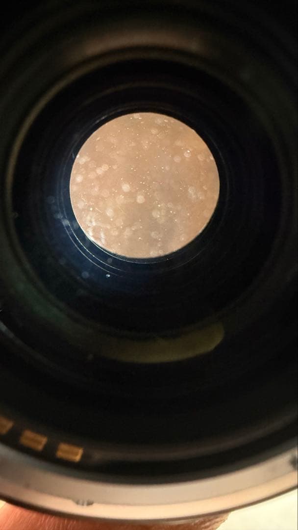 富士フイルム／XF18mm f2