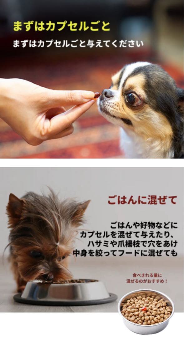 VetZ PetZ アンチノール 90粒