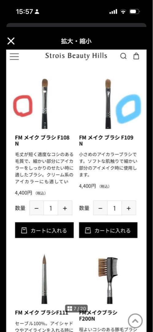 GAN メイクブラシセットforum make up