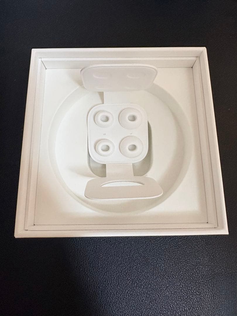 『最終値下げ』AirPods Pro 第1世代 美品