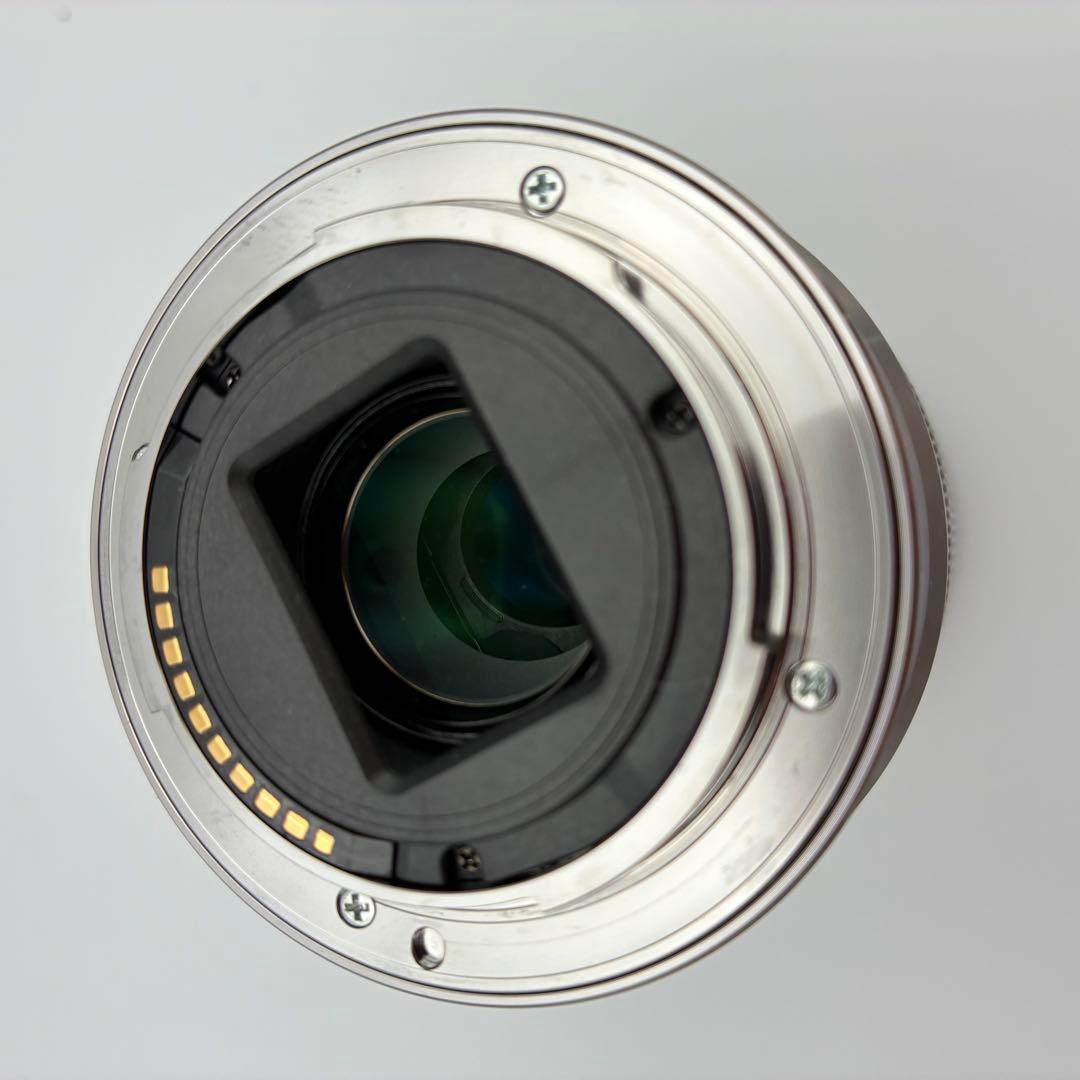 美品★ SONY SEL55210 55-210 OSS ソニー望遠 運動会