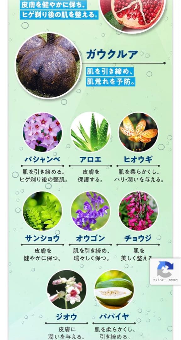 Z Lotion 5本セット