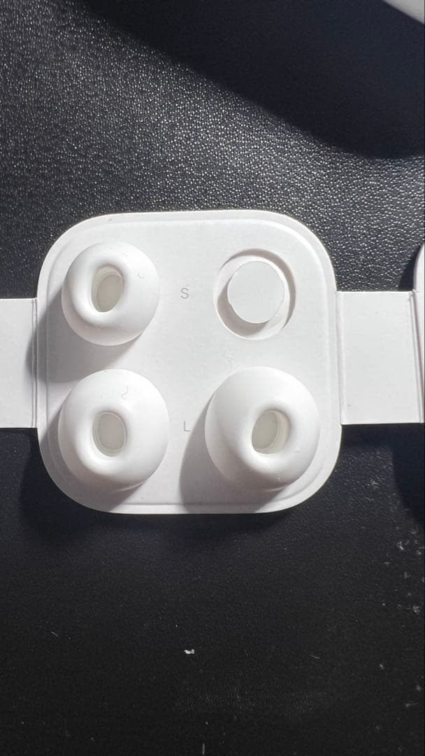 Apple公式　AirPods Pro 充電ケース付き　動作確認済み