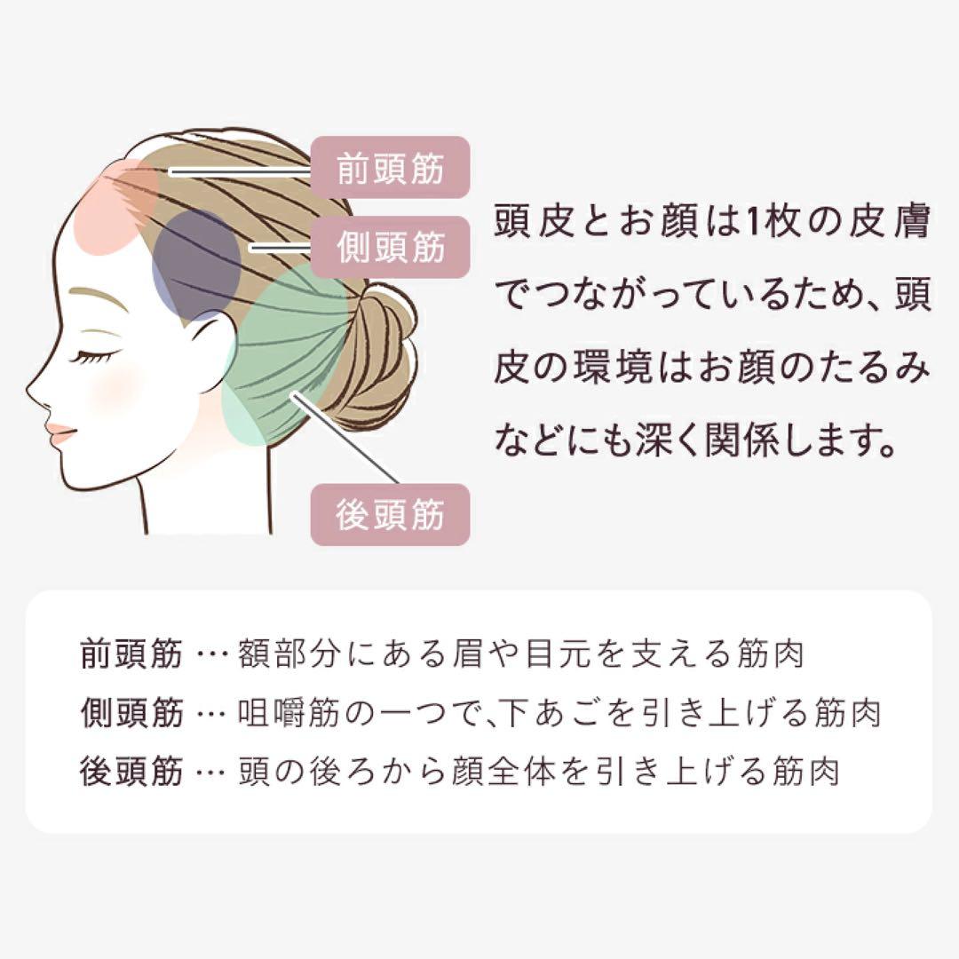 ルメントEMSヘッドスパ 頭皮ケア シャンプーブラシ 頭皮ブラシ