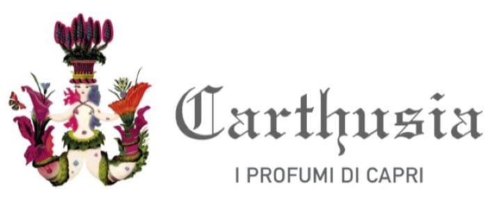 送料無料　10個セット　ハンドクリーム　メディテラネオ　カルトゥージア
