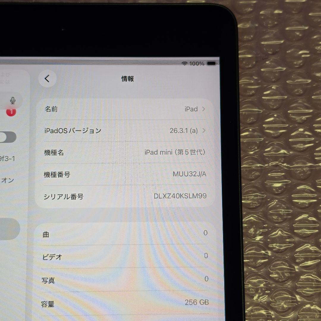 美品　iPad mini 第5世代　256GB　Wi-Fiモデル
