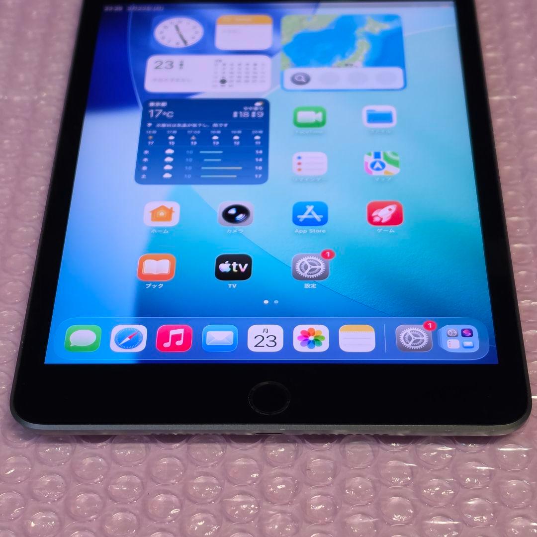 美品　iPad mini 第5世代　256GB　Wi-Fiモデル