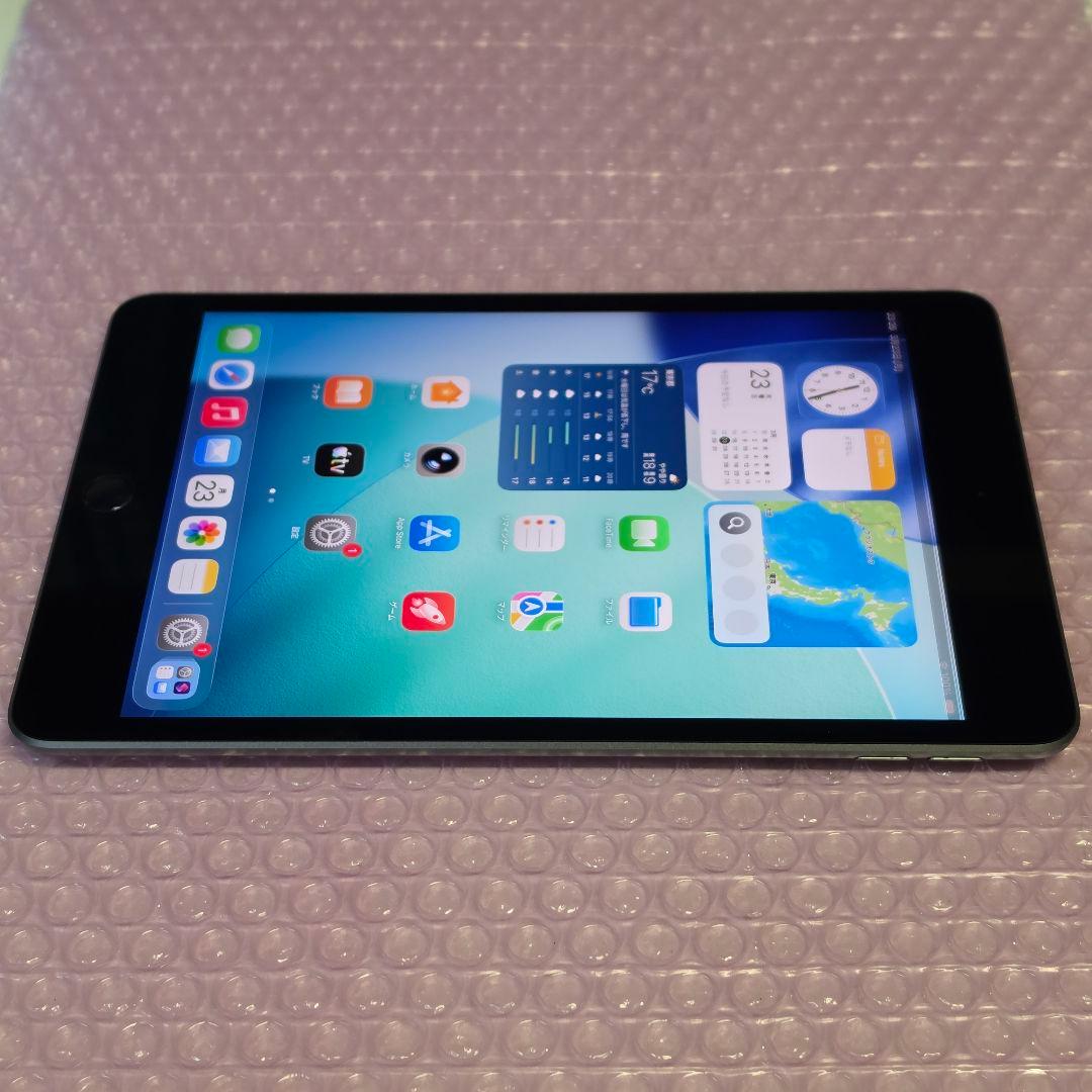 美品　iPad mini 第5世代　256GB　Wi-Fiモデル