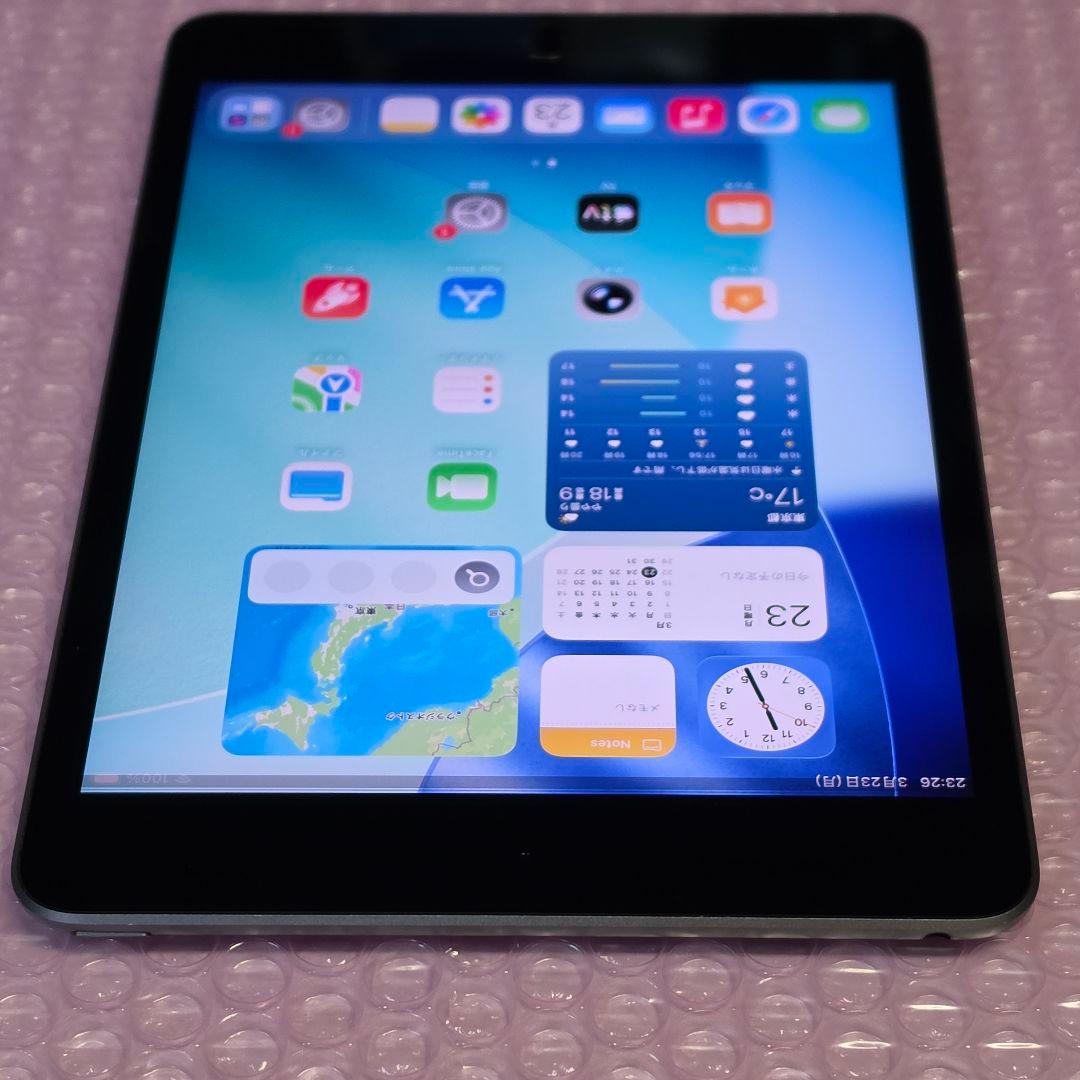 美品　iPad mini 第5世代　256GB　Wi-Fiモデル