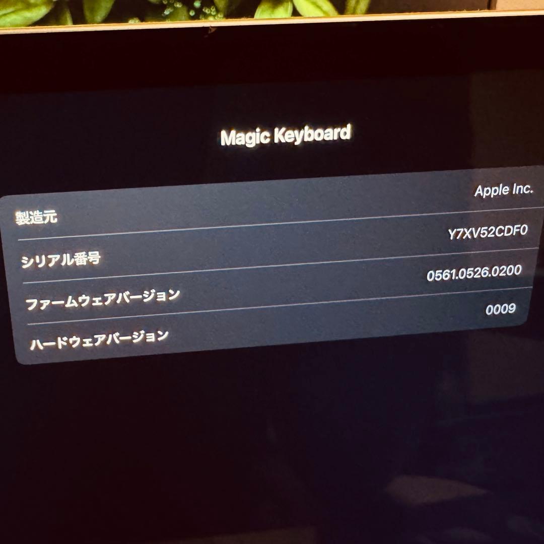Magic Keyboard 10.9インチ