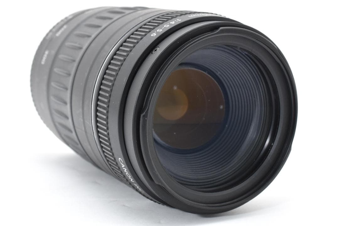 【実用良品】Canon EF 90-300mm f4.5-5.6 カビあり・実写