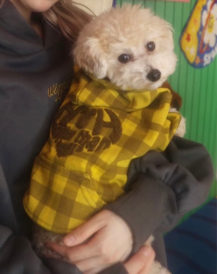 wiggle wiggle × HTH コラボ　犬用パーカー　Sサイズ