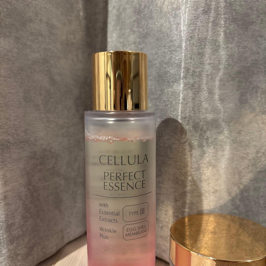 ESMエッセンスP &　PERFECT MOIST 一度のみ使用　美品