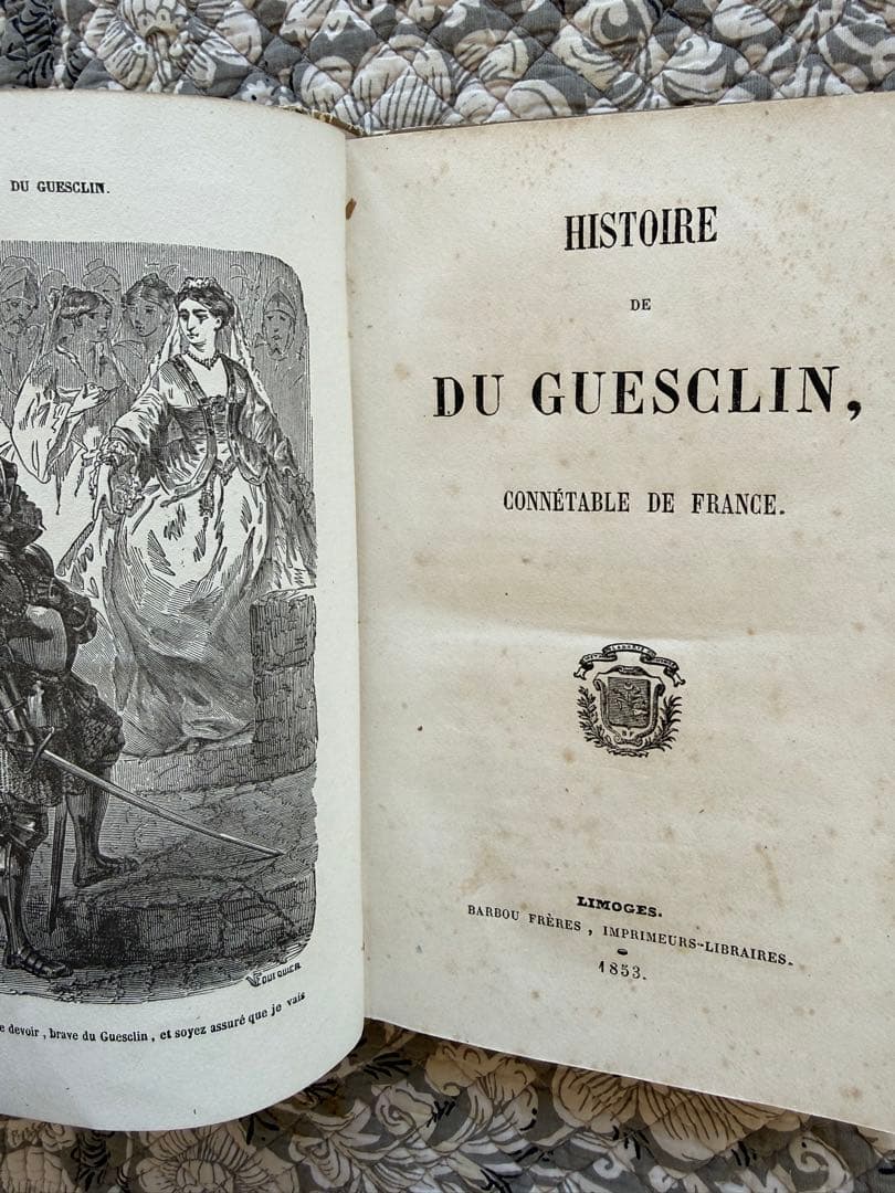 フランスアンティークロマンティック本ピンクとゴールドの箔押し古書1853年