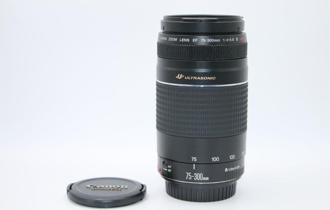 1月19日限定【超望遠レンズ】Canon EF 75-300mm Ⅲ USM