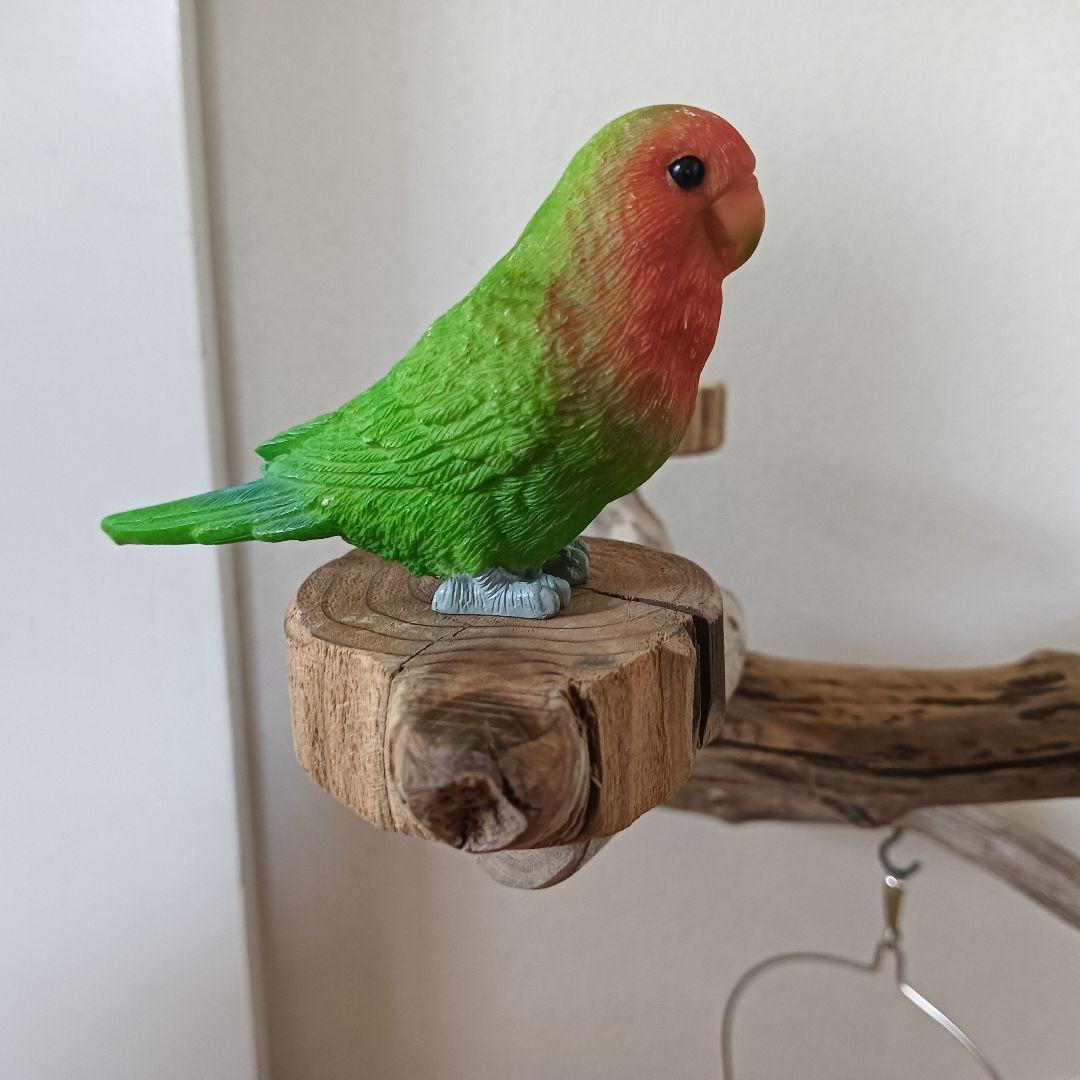 バードアスレチックジム ⑩ 天然木 自然木 流木 インコ おもちゃ