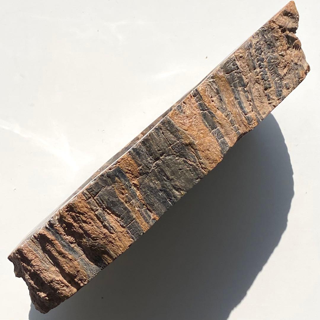 【 珪化木 ペトリファイドウッド ボウル 約1.1kg アクセサリー トレイ 】