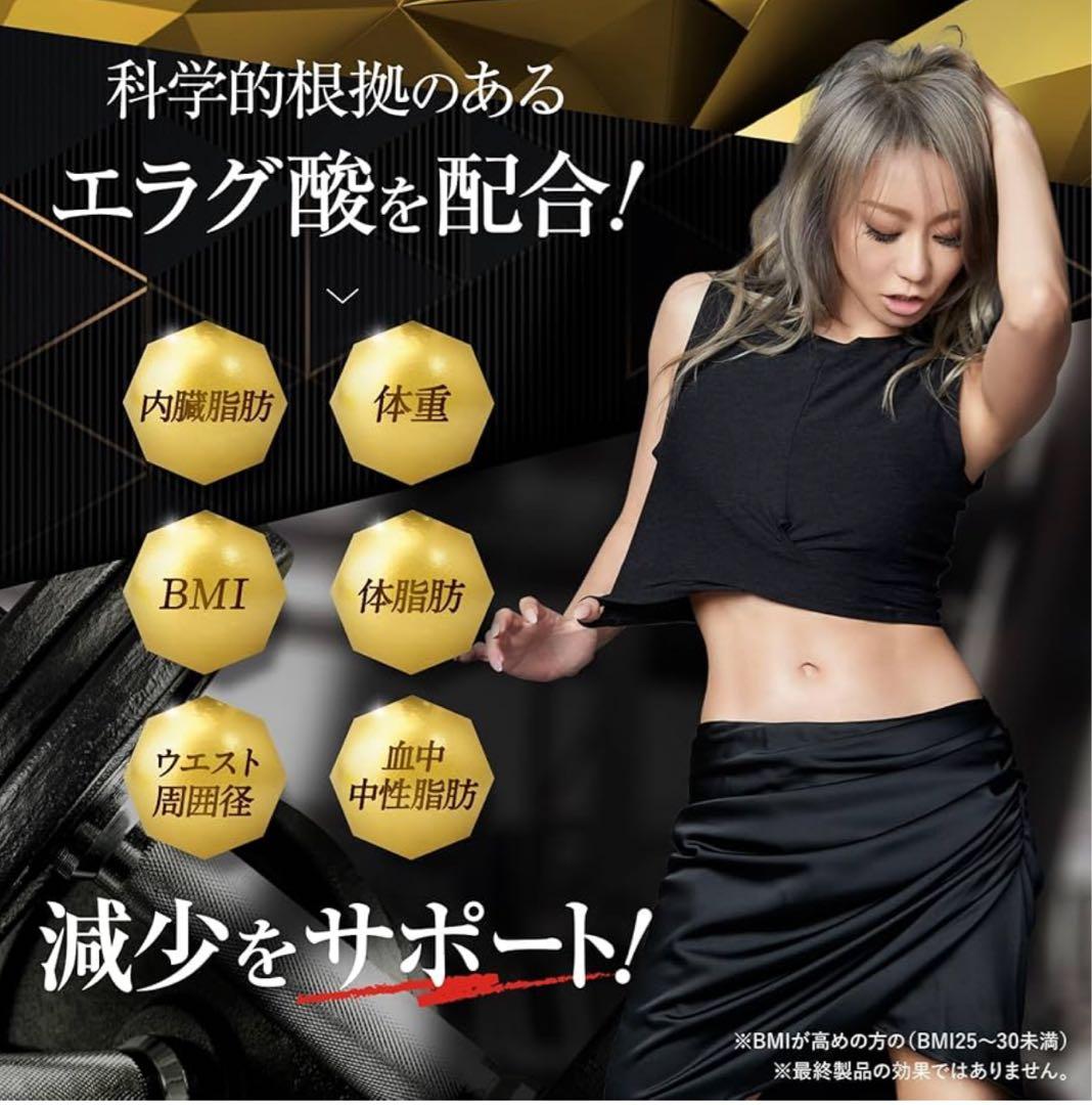 KILLER BURNER II ダイエットサプリ９０粒入り