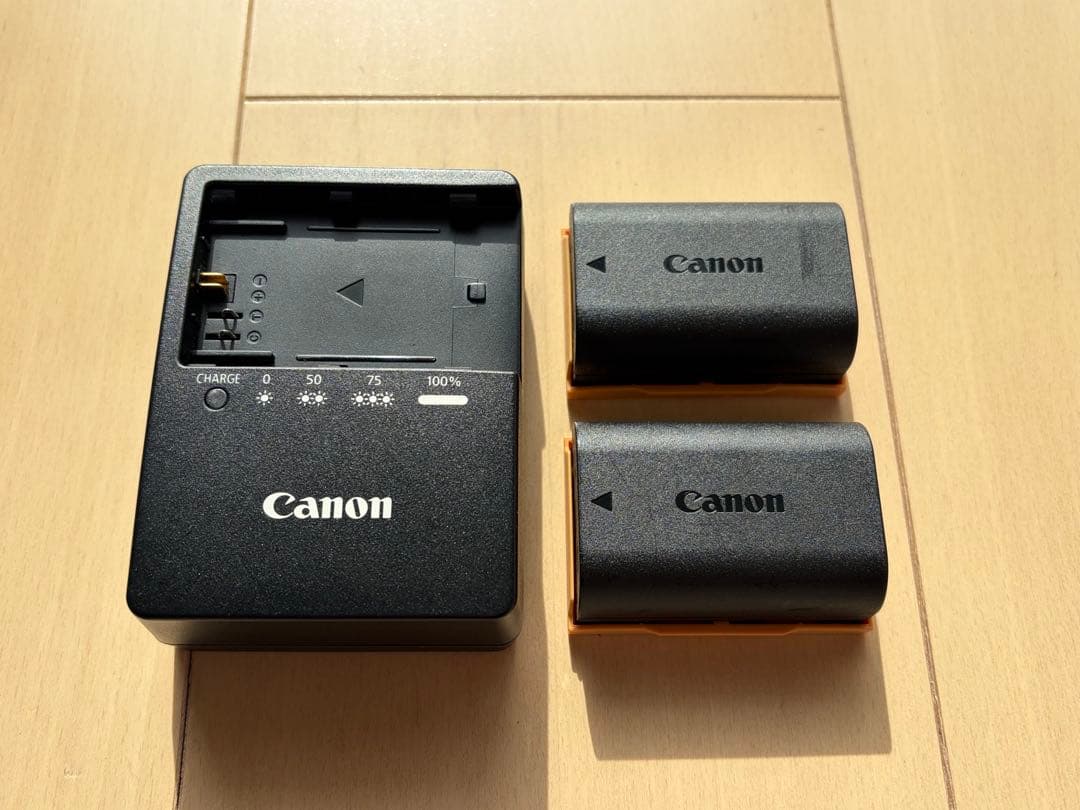 【すぐ使える】初心者セット CanonEOS90D Tamron バッテリーSD