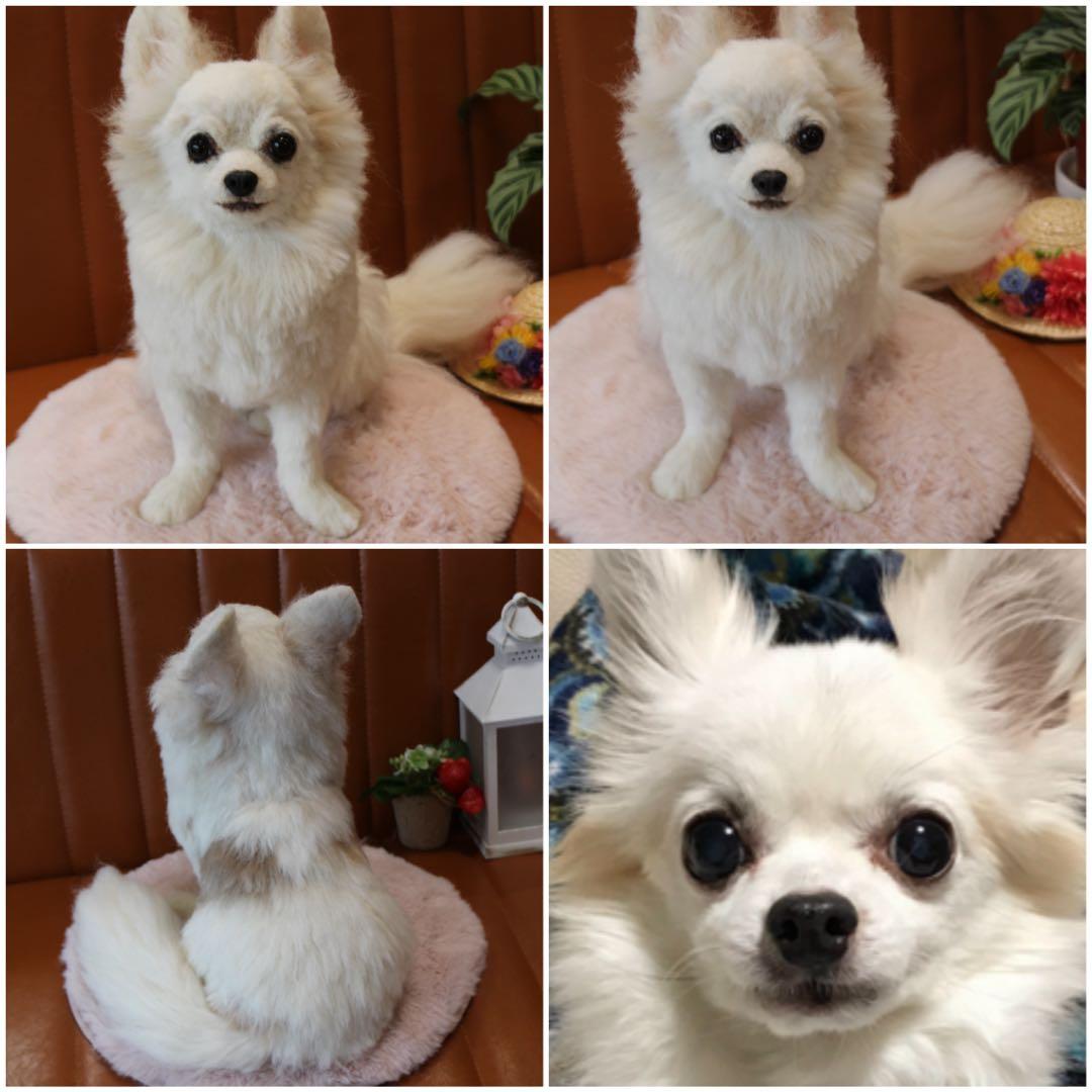 羊毛フェルト オーダー 犬 置物 ペット　愛犬さんのオーダー