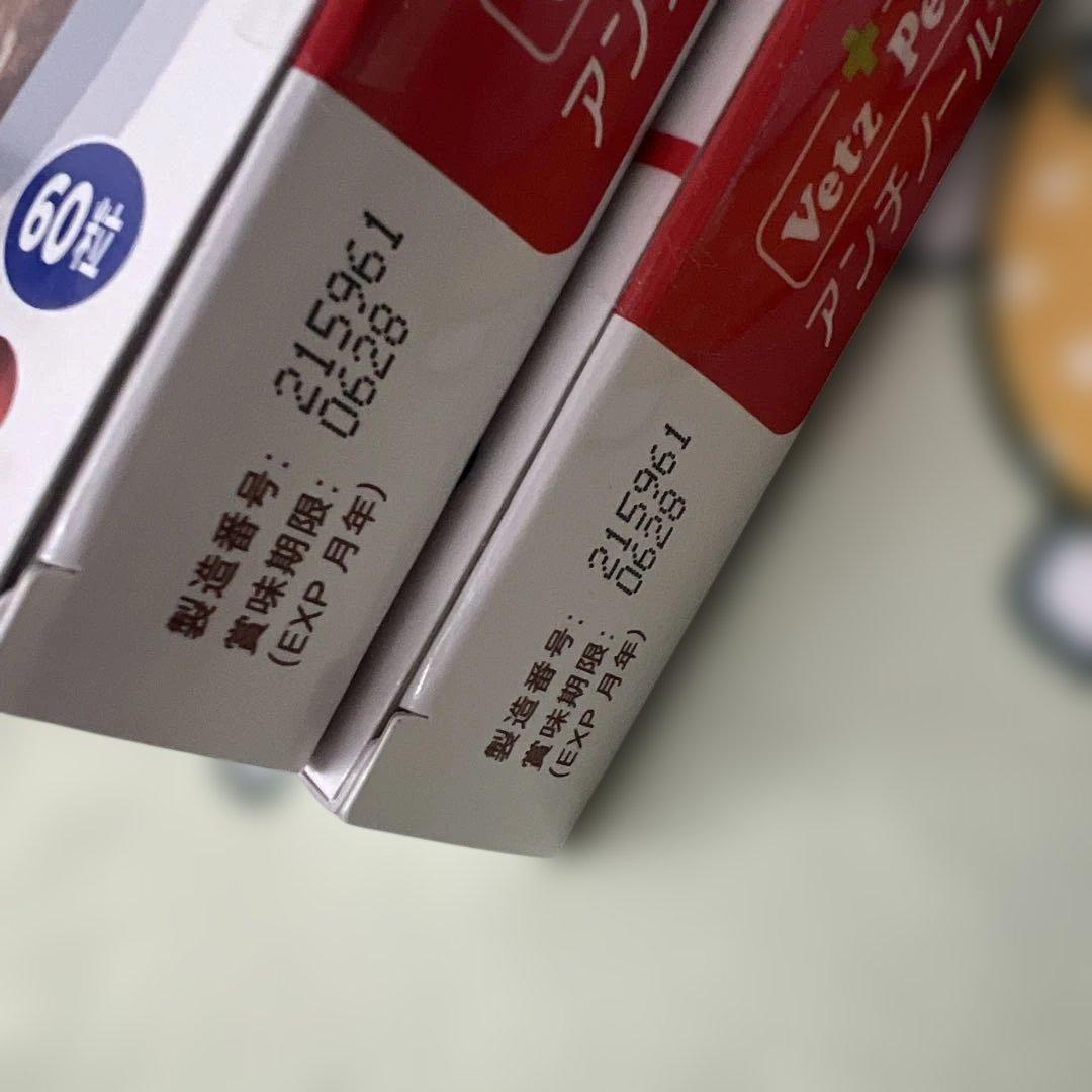 120粒　VetZ PetZ アンチノール 60粒×2箱　猫用　未開封