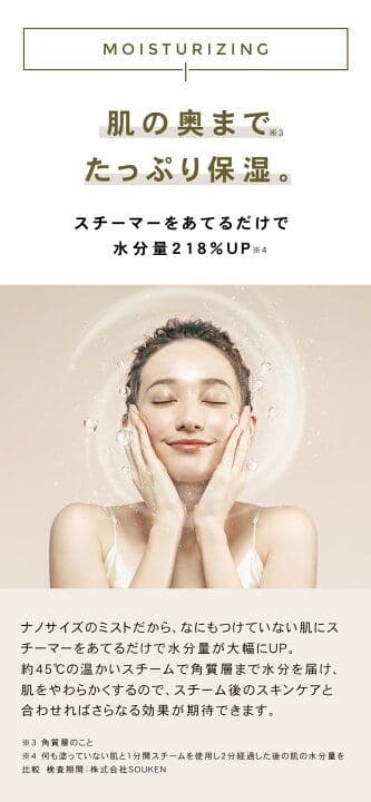 FESTINO フェスティノ フェイシャル クレンジング ナノスチーマー