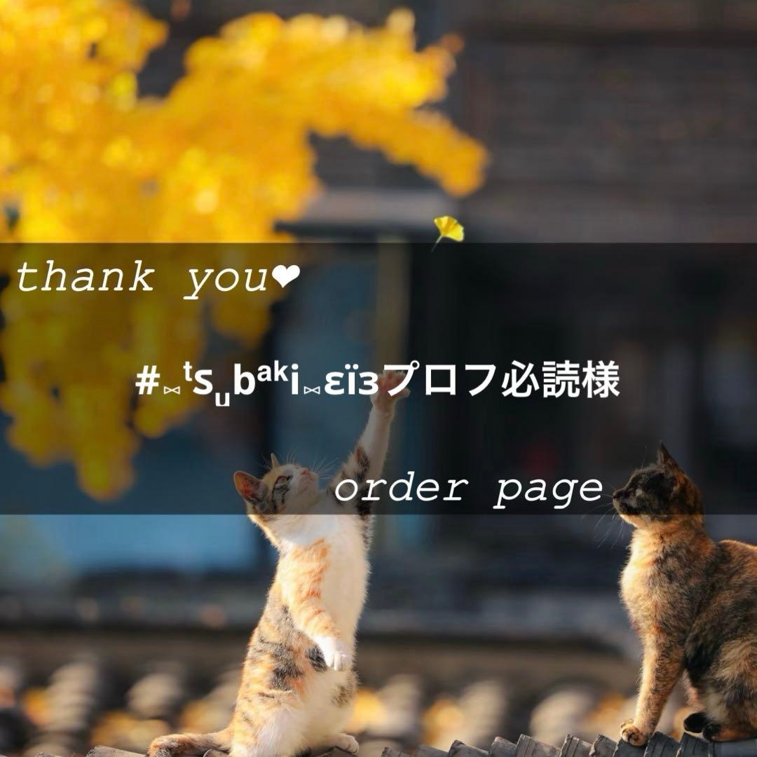 #⑅ᵗઽᵤbᵃᵏi⑅εïзプロフ必読ページ
