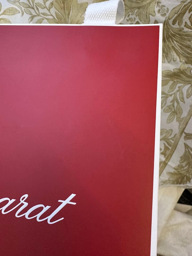Baccarat バカラ クリスタル ドラゴン 龍 置物 オブジェ 箱付 紙袋付