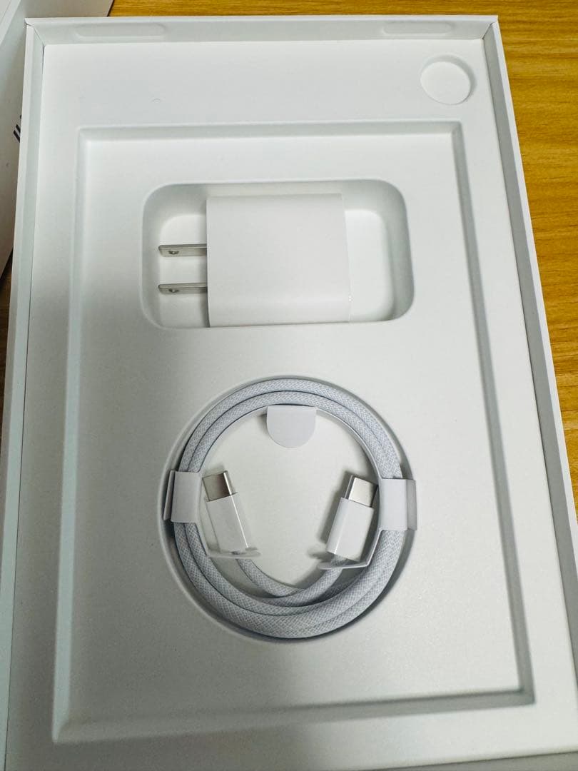 iPad mini Wi-Fi + Cellular 256GB スペースグレイ