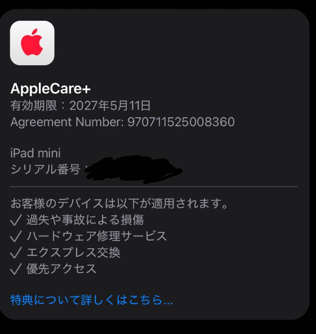 iPad mini Wi-Fi + Cellular 256GB スペースグレイ